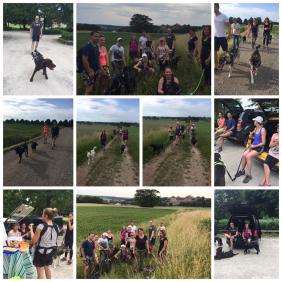 Dog Trekking, Dog Hiking, Wandern