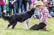 Tanzen mit Hund Border Collie